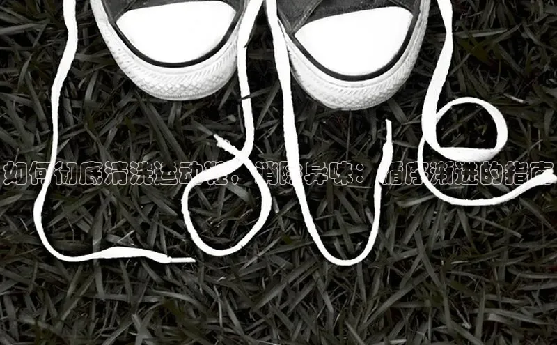 乐玩国际官方唯一入口网站百度安全社区如何彻底清洗运动鞋，消除异味：循序渐进的指南