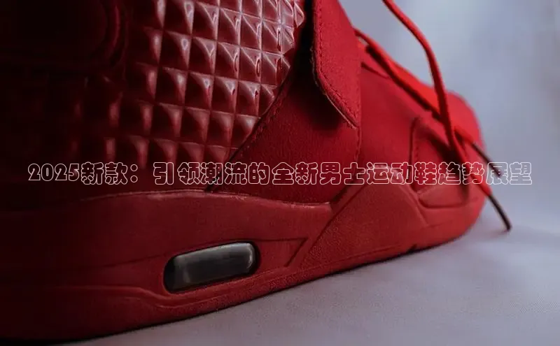乐玩LEWIN-乐玩国际-乐玩体育-乐玩游戏挪威主权基金2025新款：引领潮流的全新男士运动鞋趋势展望