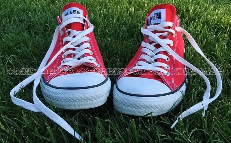 未来潮流：2025蛇年本命年运动鞋系列—从耐克洞察中预见的革新趋势