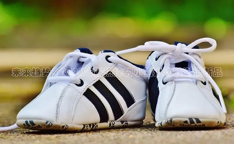 未来趋势：2025年最热捧的小狗运动鞋潮流新品