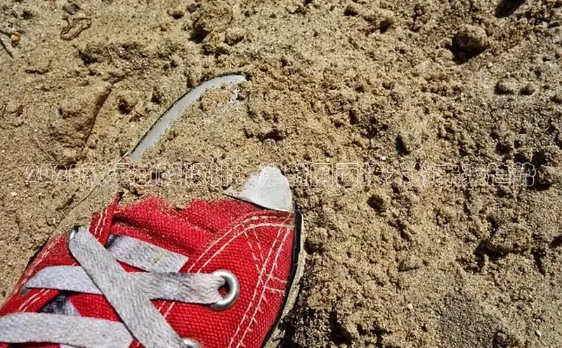 2025款运动鞋设计：革新网面技术的未来趋势