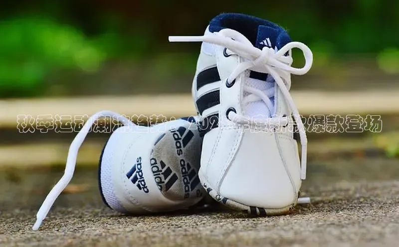 秋季运动潮流趋势：2025年度新款爆款登场