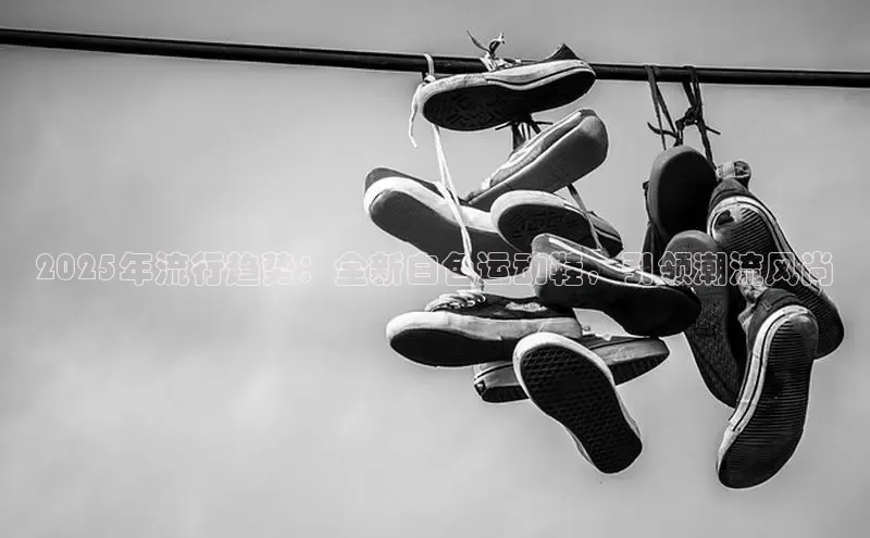 乐玩lewin官网手机版登录