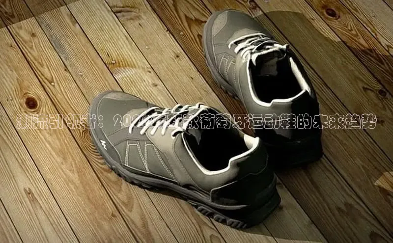 潮流引领者：2025年新款葡萄牙运动鞋的未来趋势