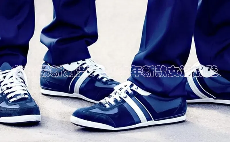 乐玩app官网入口